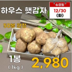 하우스 햇감자 1kg