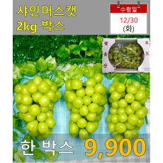 샤인머스캣 2kg 박스