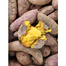 당진 호박고구마 10kg