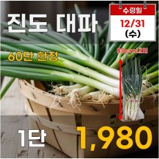 진도대파 1단