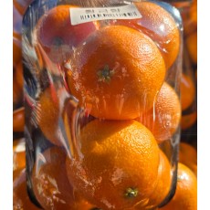 황금향 8입/팩(즉시수령)