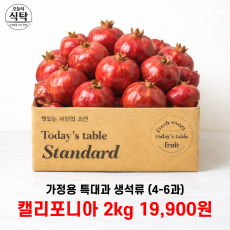 항공직송 가정용 특대 석류 2kg