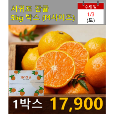 서귀포감귤 5kg 박스(M사이즈)