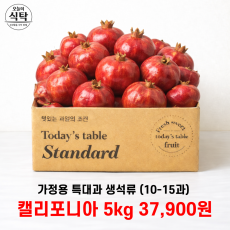 항공직송 가정용 특대 석류 5kg