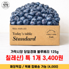 칠레 블루베리 125g (17brix+) 1개