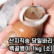 당일바리 백골뱅이 1kg (소 35~45미)