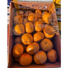 다우렁효돈감귤 2L 5kg/박스(즉시수령)