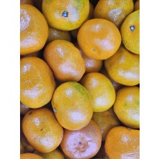 고당도 감귤 박스 구매 1000원 할인권