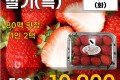 하우스 딸기(특) 500g