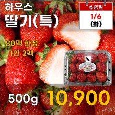 하우스 딸기(특) 500g