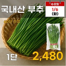 국내산 부추 1단