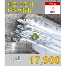 제주 은갈치 1팩 (3마리)