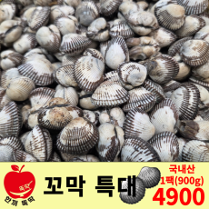 겨울 제철 국내산 꼬막