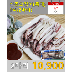 선동 오징어 2마리 (특대)