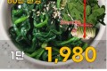 남해초 시금치 1단