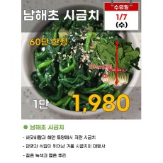 남해초 시금치 1단