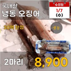 국내산 냉동 오징어 2마리