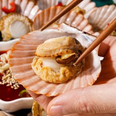 (1/9픽업) 산지직송 싱싱 홍가리비 2kg