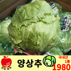 양상추 / 국내산 1통