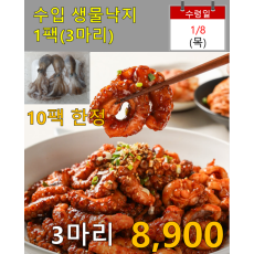 수입 생물낙지 3마리