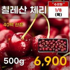 칠레산 체리 500g