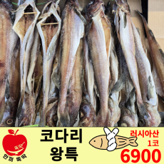 왕!!코다리 / 러시아산 특1코