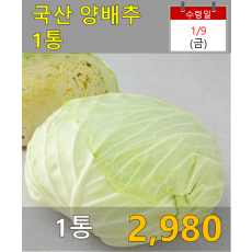 국산 양배추(특) 1통