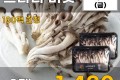 느타리버섯 2팩