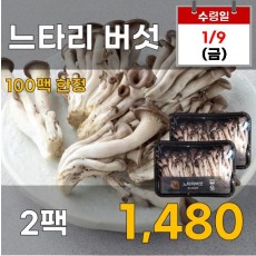 느타리버섯 2팩