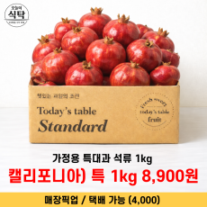 항공직송 가정용 특대 석류 1kg
