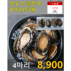 완도산 활전복 4마리(특대)