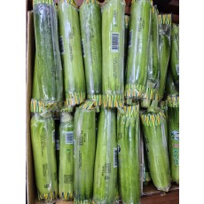 🎃인큐애호박 1개(즉시수령)