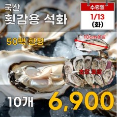 국산 횟감용 석화 10입