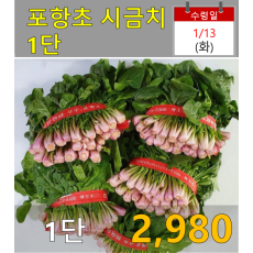 포항초 1단
