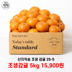 산지직송 조생 감귤 5kg (2S-S 과)