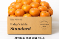 산지직송 조생 감귤 10kg (2S-S 과)