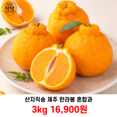 산지직송 제주 한라봉 혼합과 3kg
