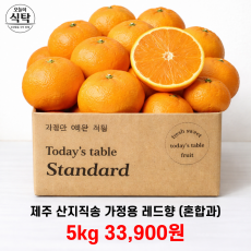 제주 산지직송 레드향 (혼합과) 3kg