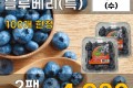 칠레산 블루베리(특) 2팩