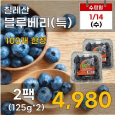 칠레산 블루베리(특) 2팩