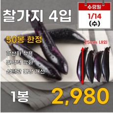 찰가지 4입