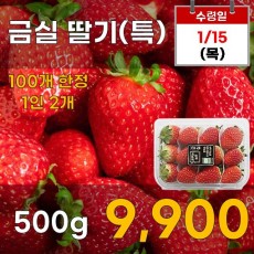 금실 딸기(특) 500g