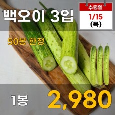 백오이 3입