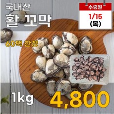 국내산 활꼬막 1kg