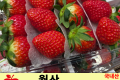 월산 팩딸기 /국내산 특 1팩 (500g)