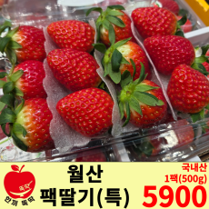 월산 팩딸기 /국내산 특 1팩 (500g)