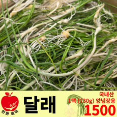 달래 / 국내산 1팩