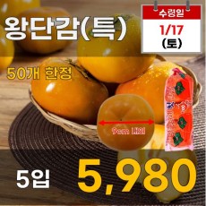 왕단감(특) 5입