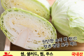 양배추 / 국내산 반통