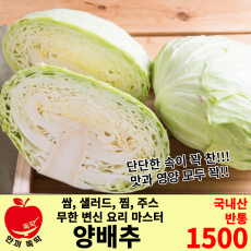 양배추 / 국내산 반통